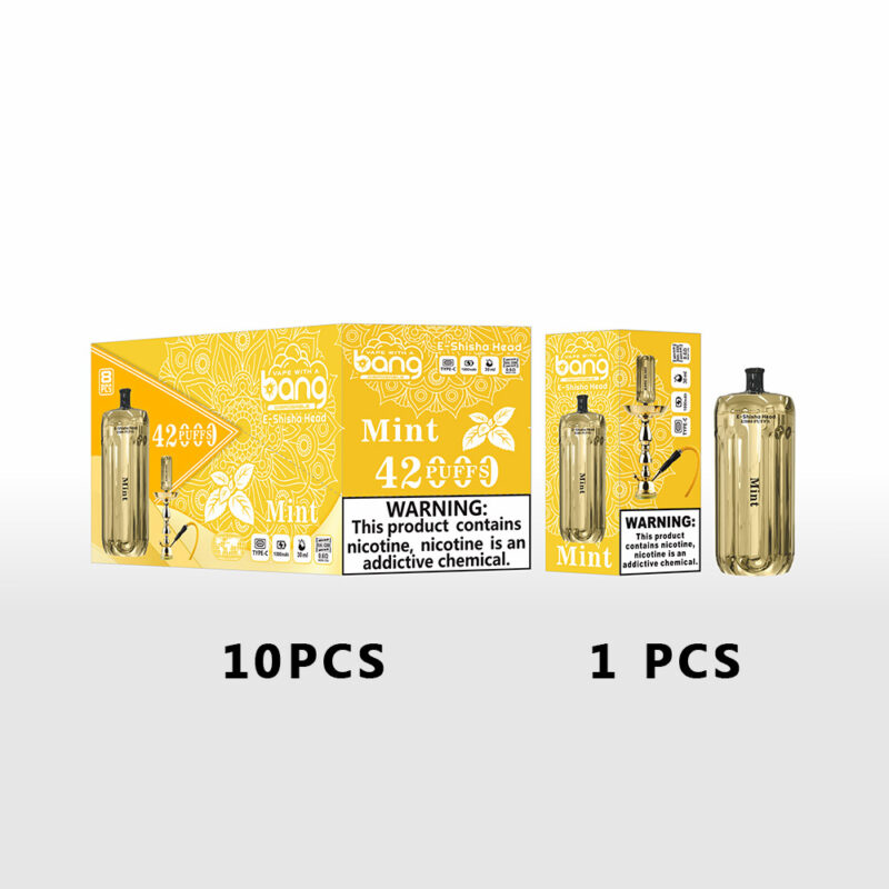 Verpackung des Einweg-E-Shisha-Produkts von Bang mit Minzgeschmack, das 42.000 Züge anzeigt und einen Warnhinweis zur Nikotinsucht enthält; zeigt eine einzelne Einheit und eine Schachtel mit 10 Einheiten.