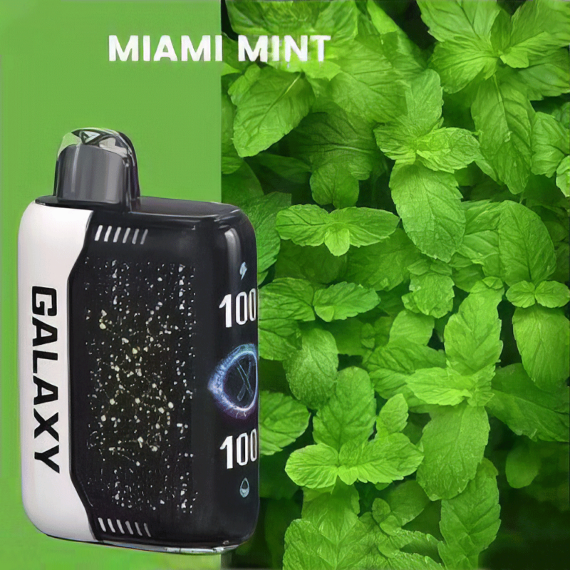 GALAXY 30000 Gypsophila 30000 30k vape wholesale MIAMI-MINT