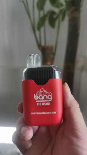 A person holding a red Bang disposable vape labeled DE 8500 with a watermelon ice flavor, in front of a blurred background of a plant.